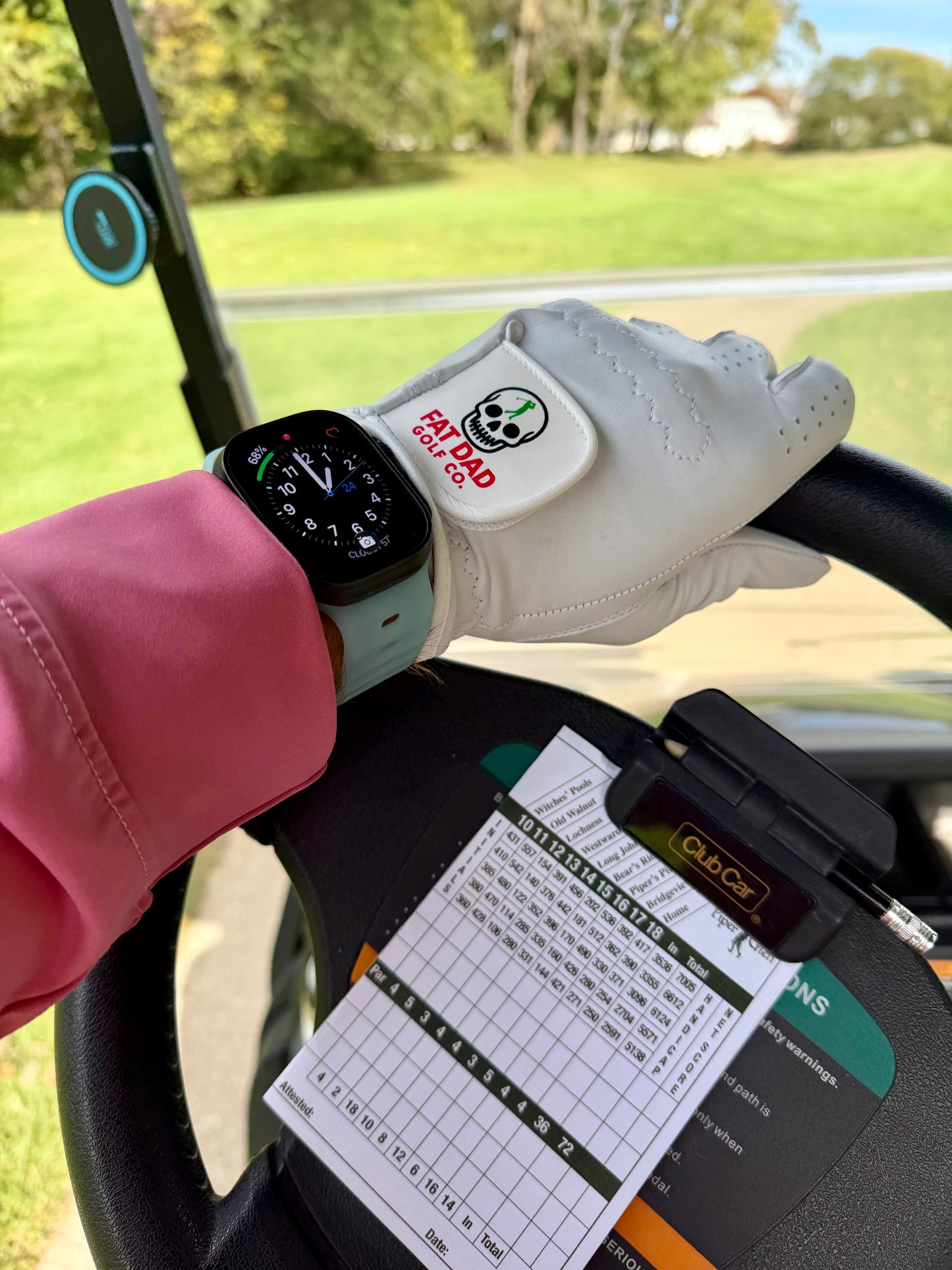 natural gray golf glove